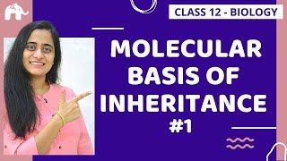 Molecular Basis of Inheritance Class 12| NCERT Chapter 6 | CBSE NEET