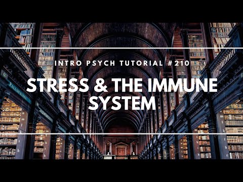 Introduction to Health Psychology Intro Psych Tutorial 206