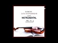 Aap Ki Nazron Ne Samjha Instrumental