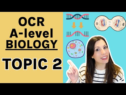 Module 2 ENTIRE TOPIC OCR A: cells, biological molecules, enzymes, membranes cell division.