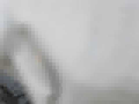 Jacaré devora piranha