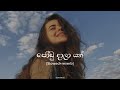 Oya Mata Manapanan ජෝඩු දාලා යන් Slowed Reverb