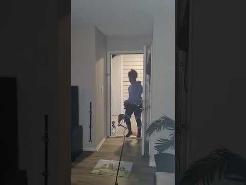 Pups and Paws Dogtraining LLC video.