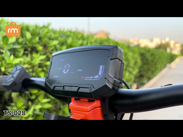 TS-028 Eagle Electric Scooter, 10-inch frame size, with shocks, LED light, and ignition key.