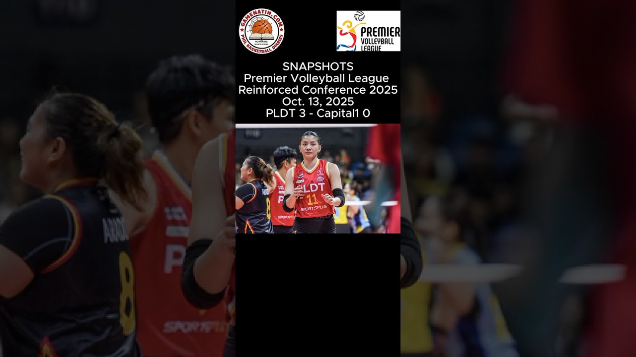 Snapshots: PVL Reinforced Conference - PLDT 3 - Capital1 0