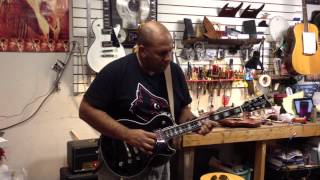 Video thumbnail for Electra Guitars New Omega Demo by Electra Guitars