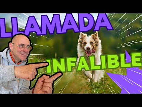 ✅ DO THIS and your DOG WILL ALWAYS COME when you CALL!! (100% Guaranteed)