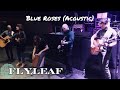 Flyleaf - Blue Roses (Acoustic) | SNOCORE 2015 Winter Music Tour | The Glass House, Pomona, CA