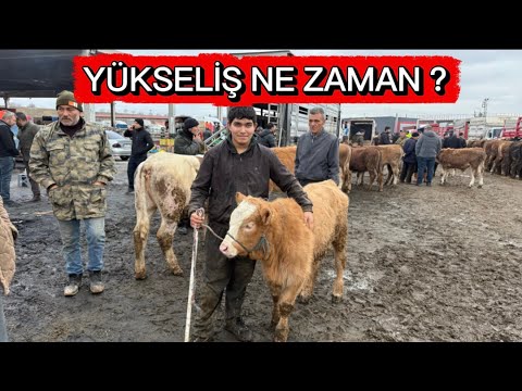 KIRIKKALE HAYVAN PAZARI 17 ŞUBAT 