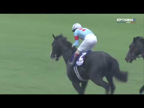 2023.11.26 Copa de Japón - Equinoccio