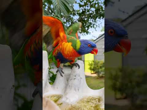 3 Grove Crescent, Beachmere, QLD 4510, 3 कमरे, 2 बाथरूम, House