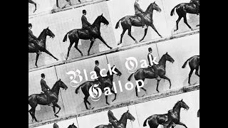Black Oak - Gallop video