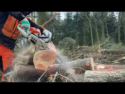 Stihl MS 201C-M 35cm PMM3