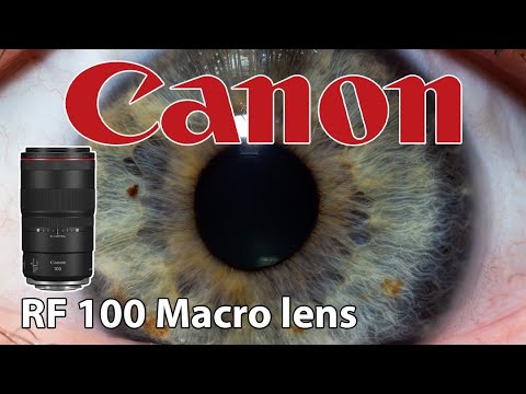 Canon RF 100 Macro • Open & Test with Raynox DCR 250 & Extention Tubes