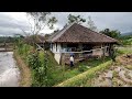Hidup Di Desa Rumah Di Kelilingi Sawah Kebayang Suasana Malam Sesayahdu Apa