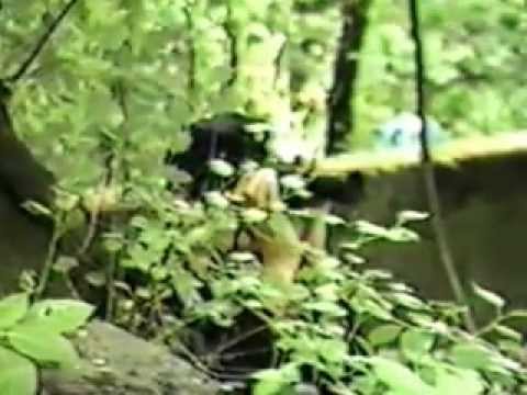 Festung Breslau  50 lat po bitwie .