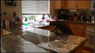 Cat countertop surfing prevention- aluminum foil and packing tape