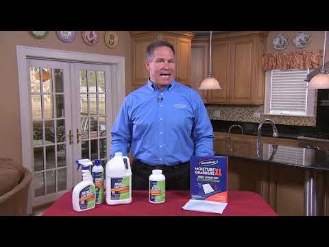 Concrobium Lou Manfredini Feature