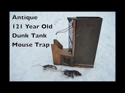 Antique 121 Year Old Dunk Tank Mouse Trap In Action - Peerless Automatic Mouse Trap Video