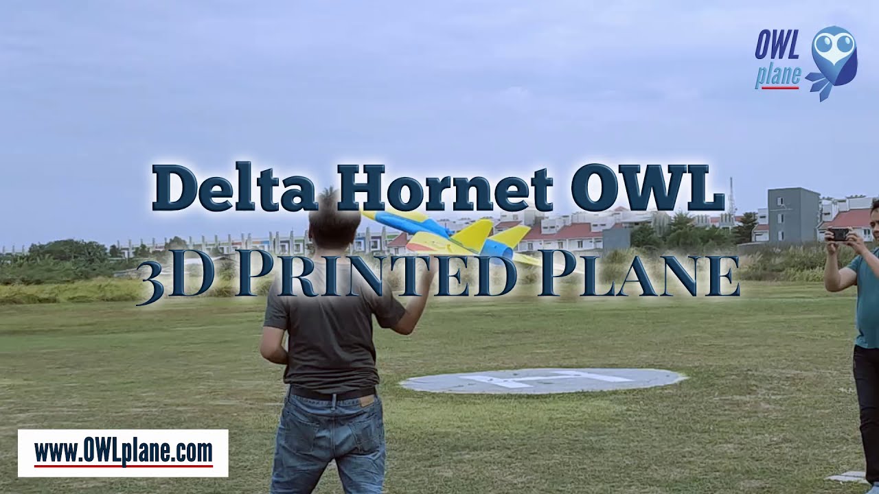 Delta Hornet OWL - 3D Printed RC Plane