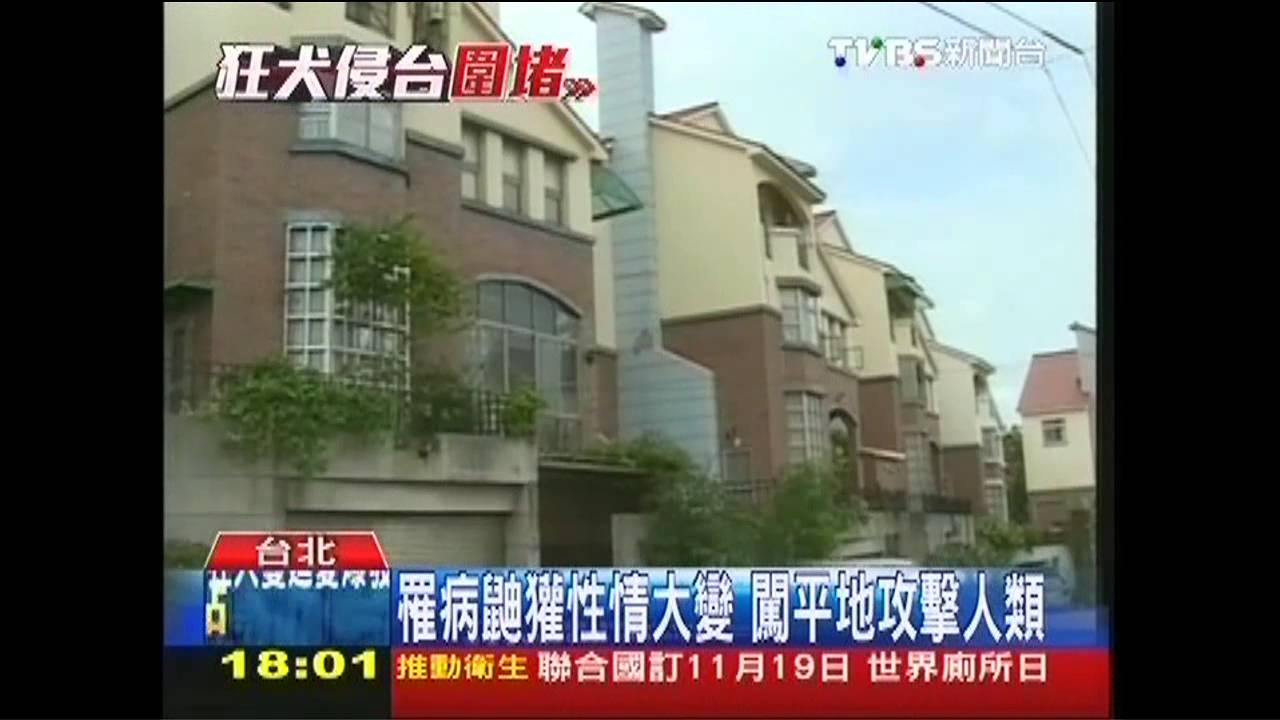 愛牠別帶牠!狂犬恐擴散 寵物禁入園