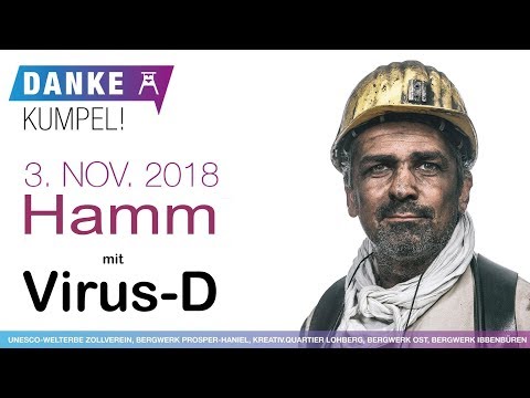 Virus D  Eigentlich wollt ich