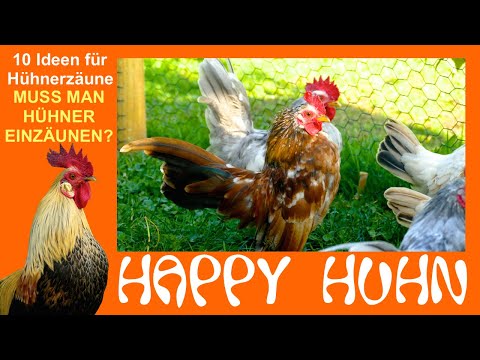 E178 Müssen Hühner eingezäunt werden? 10 Ideen für den Hühnerzaun bei HAPPY HUHN - Geflügelzäune