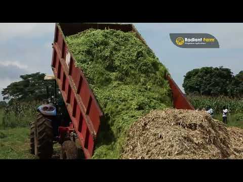 Used to spending hours CHOPPING AND MIXING forage just to keep up with your animals’ needs?