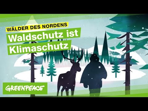 Schutz für die großen Wälder des Nordens