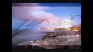 Soul  Motion  /  リチャード・マークス