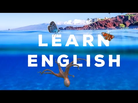 Learn English Vocabulary Daily 36 3 — British English Podcast