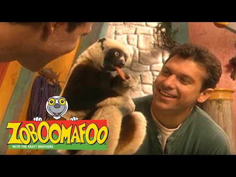 Zoboomafoo 124 - Lids (Full Episode)