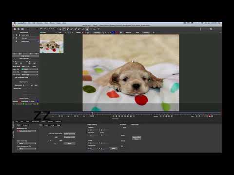 Mocha Pro tutorial: insert module