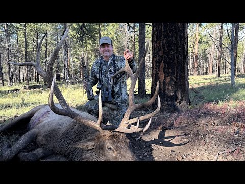 Arizona Archery Elk Hunt: "One More" Public Land Monster Bull