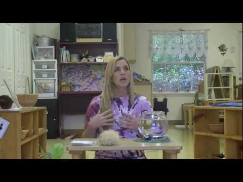 Toddler Practical Life Series - Living Room