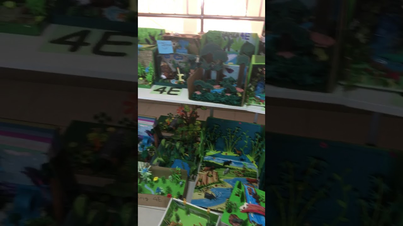 How to make Rain forest project