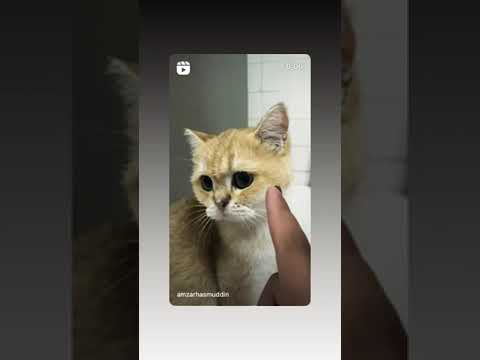 Night concert with Weston and Rita ❤️❤️