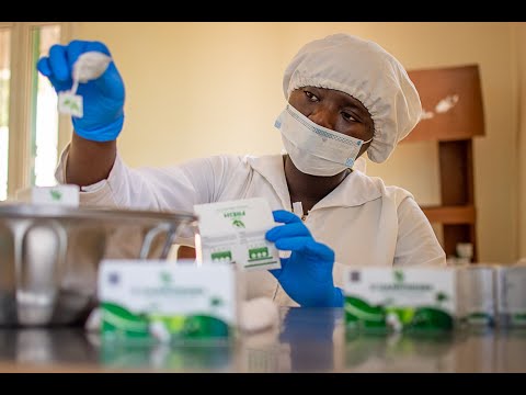 Mamali Moringa: investir dans le potentiel du terroir