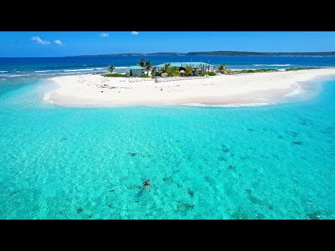 Top 5 Things To Do at Sandy Island