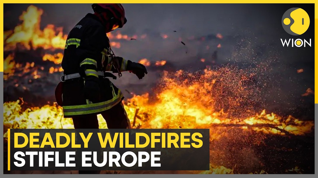Europe Wildfires: Intense Infernos Complicate Efforts Of Firefighters | WION News