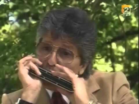 Andrej Blumauer - Razposajene orglice