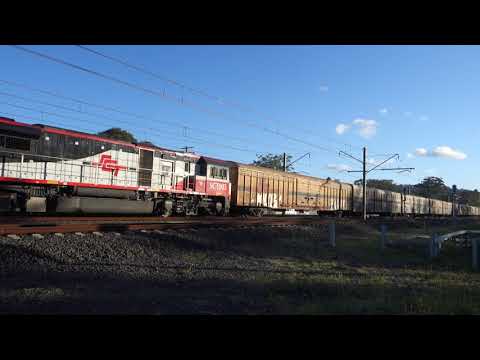 SCT004 & SCT003 with SCT Logistics 3MB9 - 20/10/21