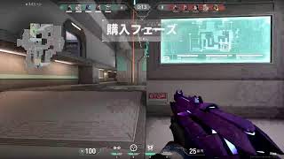 初心者バロ　コンペ