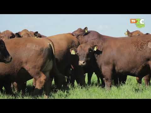 Don Romeo prepara su 16° Remate Anual, y fuimos a visitar la Cabaña