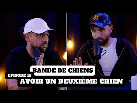 Avoir un deuxième chien - BANDE DE CHIENS Ep15