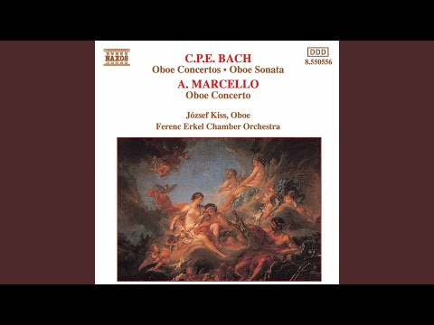 Oboe Concerto in D Minor, S.Z799: II. Adagio