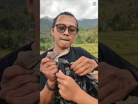 Polythene Sheet On Python To Check Teeth 😳