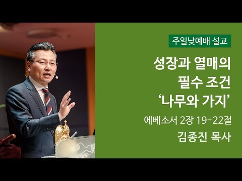 성장과 열매의 필수조건 '나무와 가지' 사진