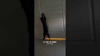 Bipolar Cat Wants in Bathroom NOW 😤