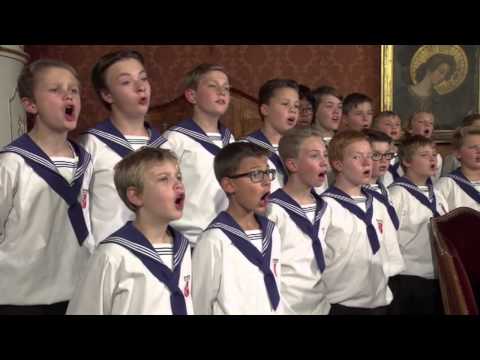 St. Florianer Sängerknaben - Es wird scho glei dumpa